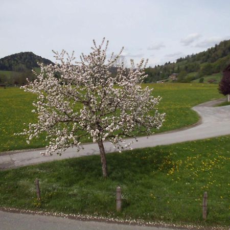 Ferienwohnung Annele Hittisau Exterior foto